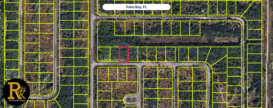 Buy or sell Palm Bay vacant lots with Brian Rice, licensed real estate broker, and Real Estate Kingz.
